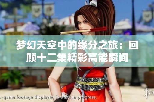 梦幻天空中的缘分之旅：回顾十二集精彩高能瞬间