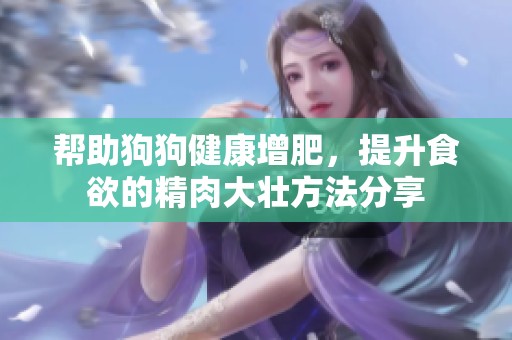 帮助狗狗健康增肥，提升食欲的精肉大壮方法分享