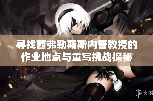 寻找西弗勒斯斯内普教授的作业地点与重写挑战探秘