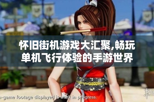 怀旧街机游戏大汇聚,畅玩单机飞行体验的手游世界
