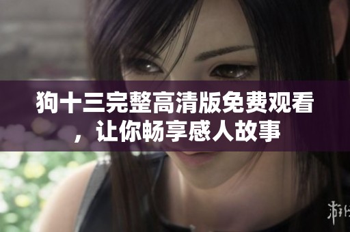狗十三完整高清版免费观看，让你畅享感人故事