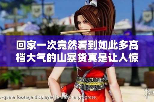 回家一次竟然看到如此多高档大气的山寨货真是让人惊讶