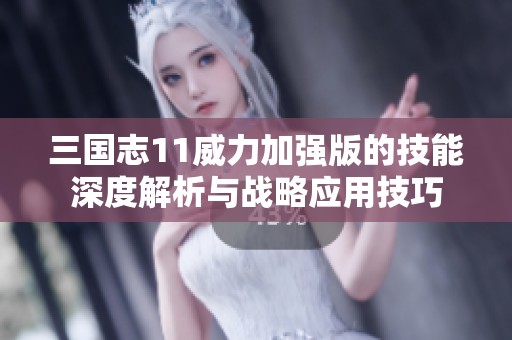三国志11威力加强版的技能深度解析与战略应用技巧