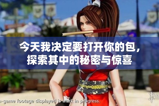 今天我决定要打开你的包，探索其中的秘密与惊喜