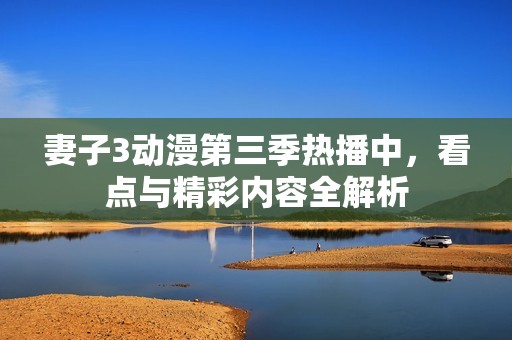 妻子3动漫第三季热播中，看点与精彩内容全解析
