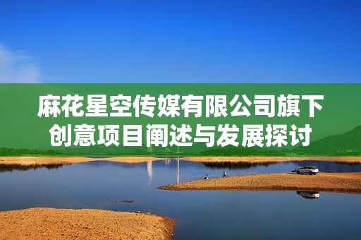 麻花星空传媒有限公司旗下创意项目阐述与发展探讨