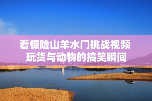 看惊险山羊水门挑战视频 玩货与动物的搞笑瞬间