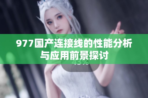 977国产连接线的性能分析与应用前景探讨