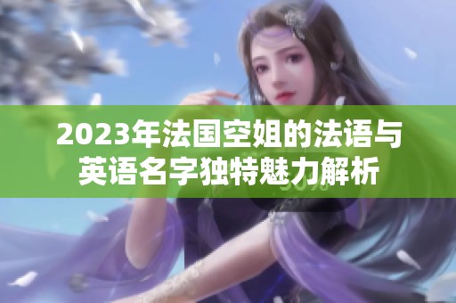 2023年法国空姐的法语与英语名字独特魅力解析