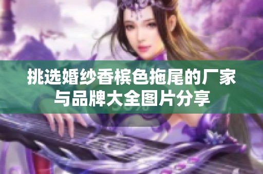 挑选婚纱香槟色拖尾的厂家与品牌大全图片分享