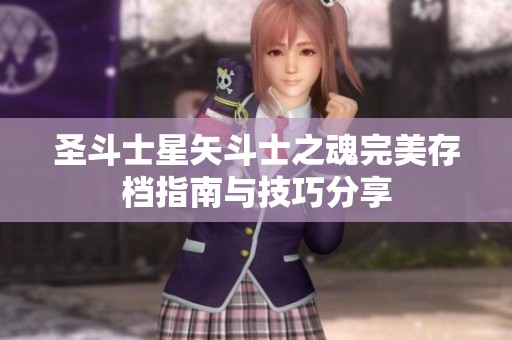 圣斗士星矢斗士之魂完美存档指南与技巧分享