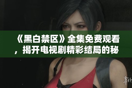 《黑白禁区》全集免费观看，揭开电视剧精彩结局的秘密与反转