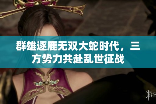 群雄逐鹿无双大蛇时代，三方势力共赴乱世征战