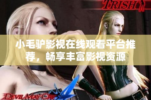 小毛驴影视在线观看平台推荐，畅享丰富影视资源