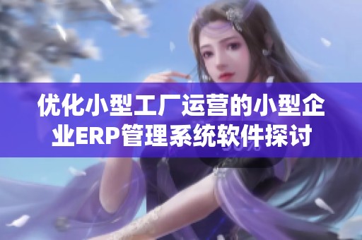 优化小型工厂运营的小型企业ERP管理系统软件探讨
