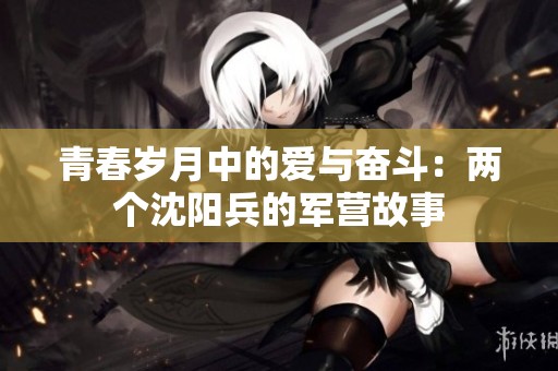 青春岁月中的爱与奋斗：两个沈阳兵的军营故事