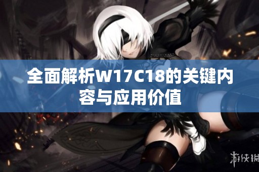 全面解析W17C18的关键内容与应用价值