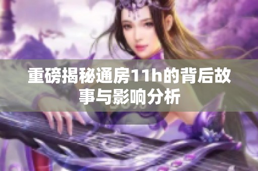 重磅揭秘通房11h的背后故事与影响分析