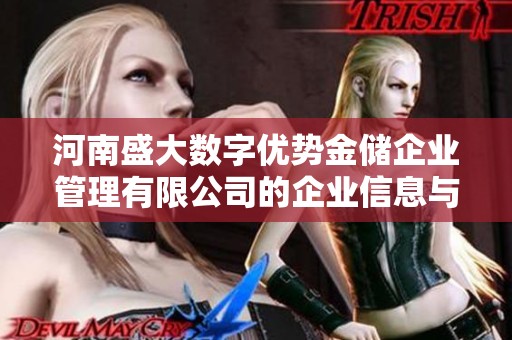河南盛大数字优势金储企业管理有限公司的企业信息与发展动态分析