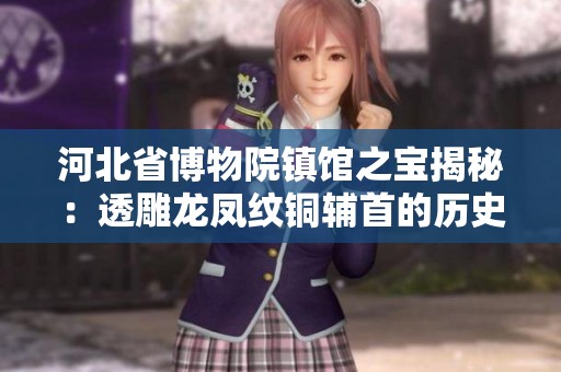 河北省博物院镇馆之宝揭秘：透雕龙凤纹铜辅首的历史与文化价值