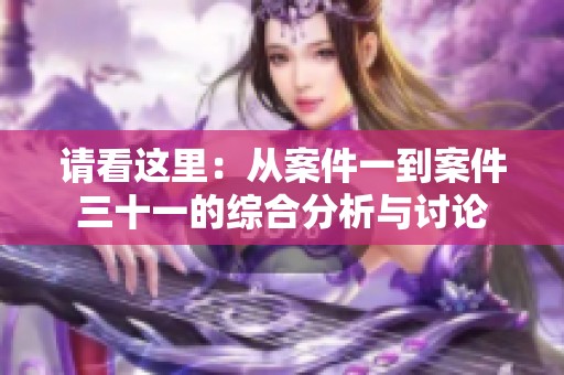 请看这里：从案件一到案件三十一的综合分析与讨论