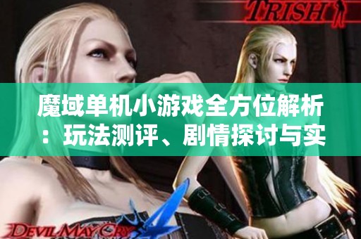 魔域单机小游戏全方位解析：玩法测评、剧情探讨与实用攻略分享