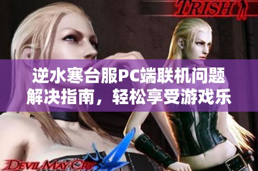 逆水寒台服PC端联机问题解决指南，轻松享受游戏乐趣