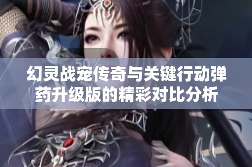 幻灵战宠传奇与关键行动弹药升级版的精彩对比分析
