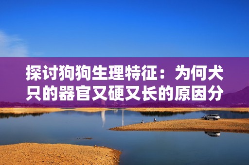 探讨狗狗生理特征：为何犬只的器官又硬又长的原因分析