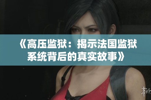 《高压监狱：揭示法国监狱系统背后的真实故事》