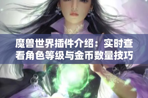 魔兽世界插件介绍:实时查看角色等级与金币数量技巧 魔兽世界插件介绍:实时查看角色等级与金币数量技巧