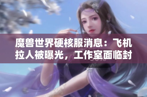魔兽世界硬核服消息:飞机拉人被曝光,工作室面临封号危机 魔兽世界硬核服消息:飞机拉人被曝光,工作室面临封号危机