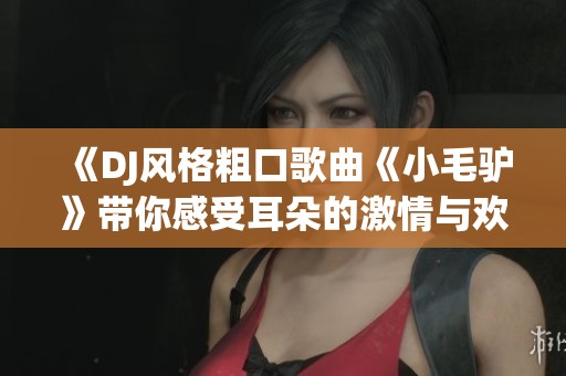 《DJ风格粗口歌曲《小毛驴》带你感受耳朵的激情与欢乐》
