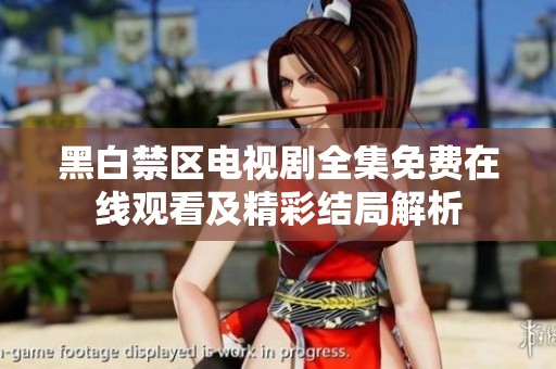 黑白禁区电视剧全集免费在线观看及精彩结局解析