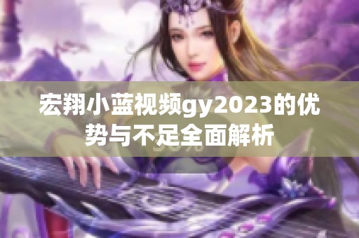 宏翔小蓝视频gy2023的优势与不足全面解析