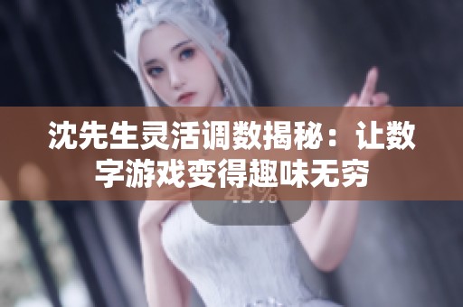 沈先生灵活调数揭秘：让数字游戏变得趣味无穷