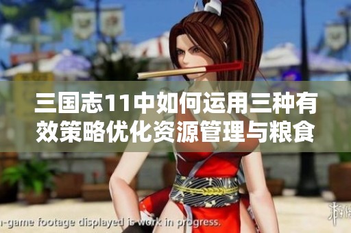 三国志11中如何运用三种有效策略优化资源管理与粮食节省技巧