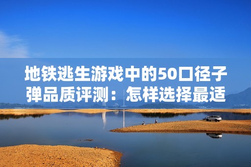 地铁逃生游戏中的50口径子弹品质评测：怎样选择最适合你的生存武器