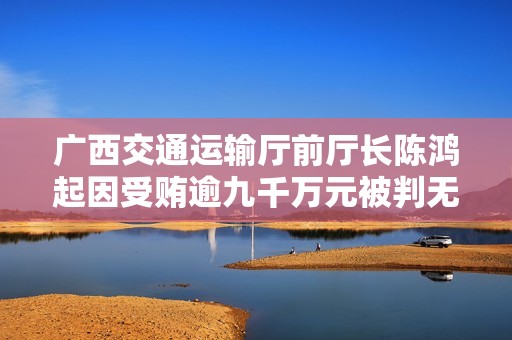 广西交通运输厅前厅长陈鸿起因受贿逾九千万元被判无期徒刑的案件剖析
