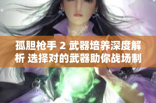 孤胆枪手 2 武器培养深度解析 选择对的武器助你战场制霸之路