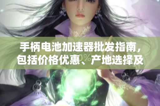 手柄电池加速器批发指南，包括价格优惠、产地选择及货源信息解析