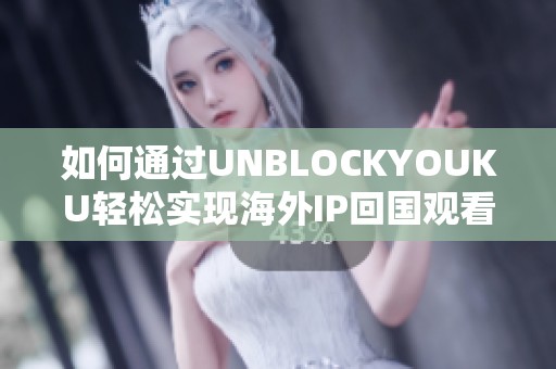 如何通过UNBLOCKYOUKU轻松实现海外IP回国观看中国视频内容