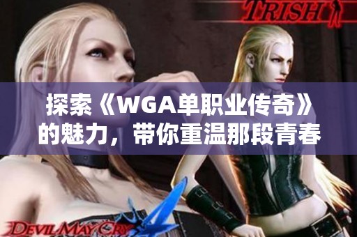 探索《WGA单职业传奇》的魅力，带你重温那段青春岁月的激荡与回忆