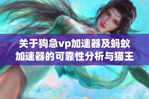 关于狗急vp加速器及蚂蚁加速器的可靠性分析与猫王加速器的对比评测