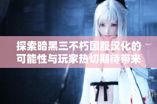 探索暗黑三不朽国服汉化的可能性与玩家热切期待带来的游戏魅力
