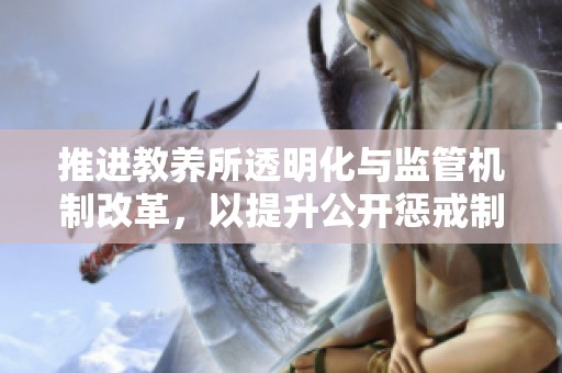 推进教养所透明化与监管机制改革，以提升公开惩戒制度的有效性与公信力