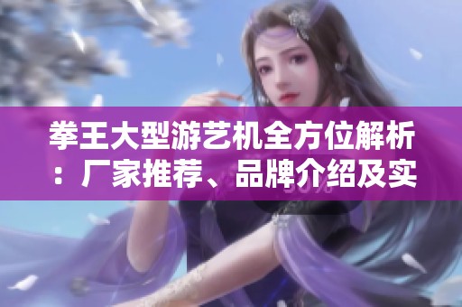 拳王大型游艺机全方位解析：厂家推荐、品牌介绍及实用图片分享