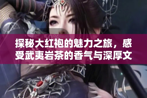 探秘大红袍的魅力之旅，感受武夷岩茶的香气与深厚文化的完美交融