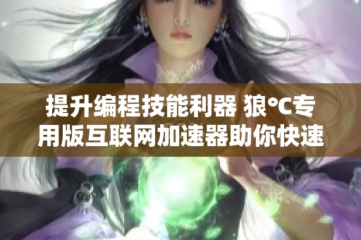 提升编程技能利器 狼℃专用版互联网加速器助你快速获取IT学习资源