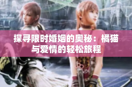 探寻限时婚姻的奥秘：橘猫与爱情的轻松旅程